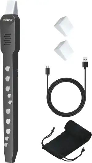 Digitales Blasinstrument, Elektrisches Blasinstrument Schwarz Unterstützt MIDI-B