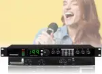 Professioneller Digitaler Audio-Prozessor, DSP-Hall-Effekt, 99 Voreinstellungen, 199 Soundeffekte, 24-Bit-Signalprozessor, Für Studio-Karaoke-Bühnenauftritte
