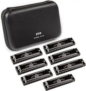 JDR Mundharmonika 7er Set (Tonart C D E F G A Bb) 10 Löcher 20 Töne Blues Harfe 