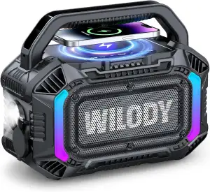 Wilody Bluetooth Lautsprecher Groß,100W Outdoor Tragbarer Lautsprecher with Bass