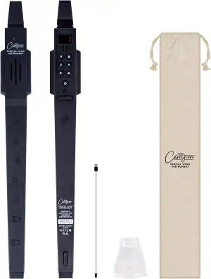 Carry-on by Blackstar Digitales Blasinstrument Schwarz - 10 Stimmen, integrierte