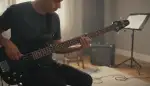 Der E-Bass: Fundament des Grooves